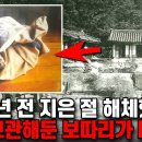 보따리 이미지