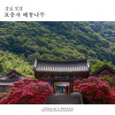 표충사2 이미지