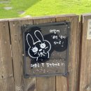 한림속 하루 | 제주 가성비 좋은 독채펜션 한림속하루 내돈내산 후기