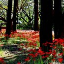 송림공원 이미지