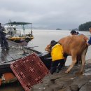 선재축산 이미지