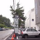 씨앤트리(Sea&Tree) 이미지