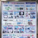 금정고가도로