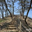 장고도둘레길 이미지