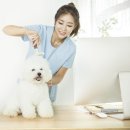 동물병원 HADA 이미지