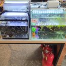 굴사랑&가야밀면 이미지