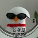 헤어토픽 | [Tips] 토익스피킹 1트에 AL 170 취득 후기 및 공부법