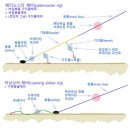 봉돌채비의 세가지모습(백만볼트님 펌) 이미지