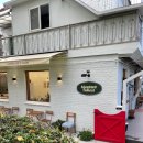 몽땅 포레스트 이미지