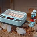 광현농장 이미지