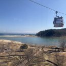 국밥 참 맛있는 집 울진군청점 이미지