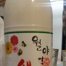 월야애호박