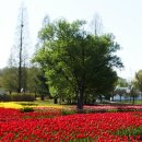 국제문화교류관 야외정원 이미지