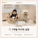 7개월 아기 성장기록 | 뒤집기 전쟁, 어린이집 적응, 돌잔치 준비까지