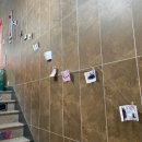 냥린이네 이미지