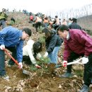 4월 5일 식목일 (植 木 日) Arbor Day 유래. 이미지