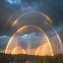 언제나봄 이미지