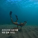 Z-119(모든레저) | [레저디] 프리다이빙 입문을 위한 완벽 가이드 - 프리다이빙 체험 후기부터 비용까지!