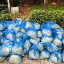 서구노인복지관(14) 이미지