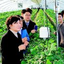 김선배농장 이미지