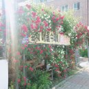 초가집바지락손칼국수 이미지