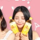 참조은 과일