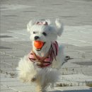 아띠맘마