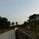 함덕풀빌라펜션람보르기니 | 제주 함덕해수욕장 근처 2층 독채펜션 자쿠지 풀빌라함덕애펜션 B동 2박 내돈내산 후기