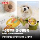 브로콜리 펫푸드 | 강아지명절음식 수수펫푸드 삼색만둣국 | 설날 추석 특식 수제간식 밀키트 내돈내산 후기