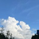 선인장을 부탁해 | 8월에내가햇떤것들