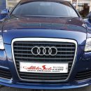 올도색닷컴 이미지