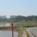 천안여상로 이미지