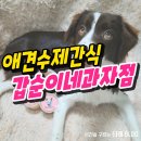 갑순이네 과자점 | 세종 애견수제간식 갑순이네과자점 솔직후기