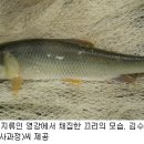 끄 리 .... 이미지