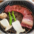 소나무가 있는 풍경 이미지