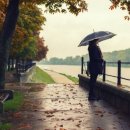 머물다가 이미지