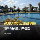 제주펜션 추천, 서귀포 성산 대가족 독채 풀빌라 숙소 제주올레돔 후기
