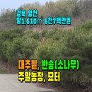 화산면565 이미지