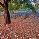 청도신화랑에코트레일 이미지