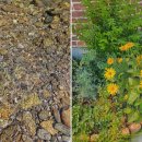 온새미로민박 이미지