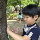 6월 - 자연愛오감톡톡&열려라! 나라사랑교육(나무 프로타주&망종) 이미지
