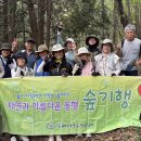 나주 금성산 다녀왔습니다. 이미지