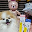 박순석농장 | 경남제약 레모나 댕모어 이어클리너 사용후기