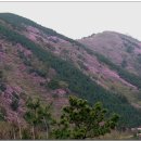 구암동484 이미지