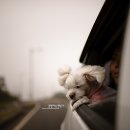 대유랜드 이미지