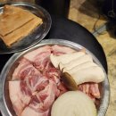 맘모스껍데기 이미지