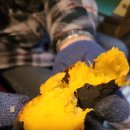 수동쉼터 이미지