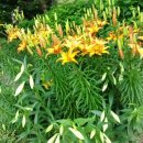 과천역 5번 출구 이미지