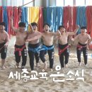 세종교육