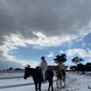 에코승마아카데미 | 💫에코승마 아카데미 후기 🐴제주 승마,🐴숲길외승, 🐴조천 승마,